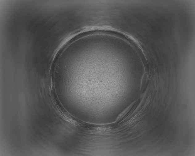 X0000054421271200508011348