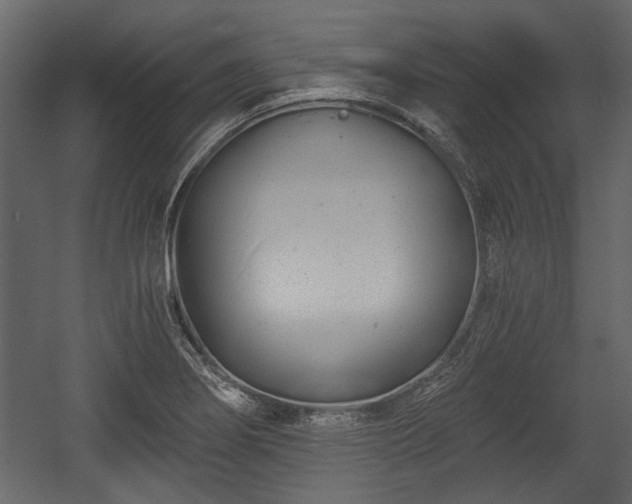 X0000054421274200508011348