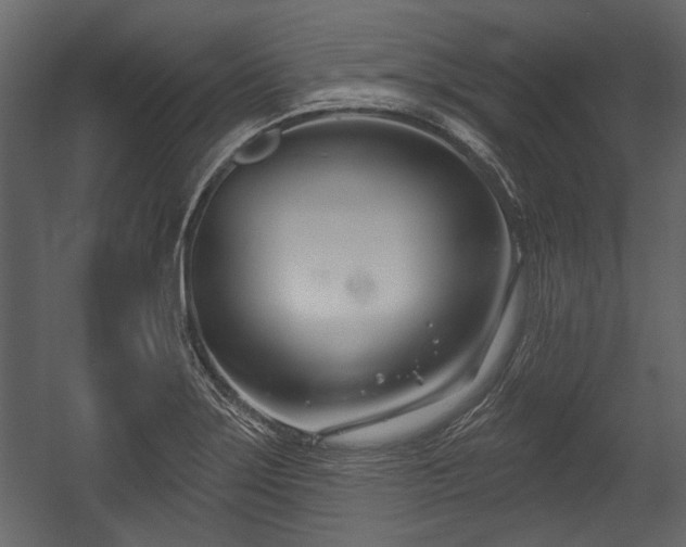 X0000054421275200508011348