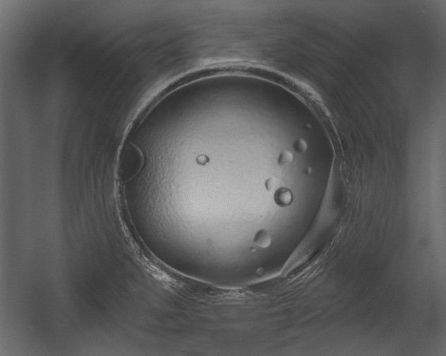 X0000054421279200508011348