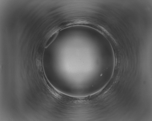 X0000054421281200508011348