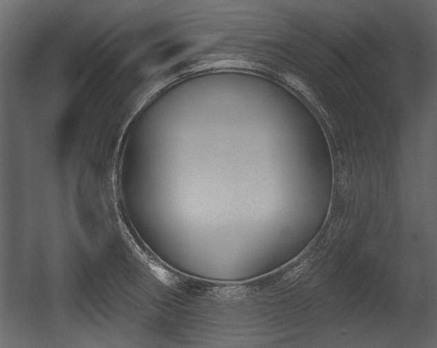 X0000054421282200508011348