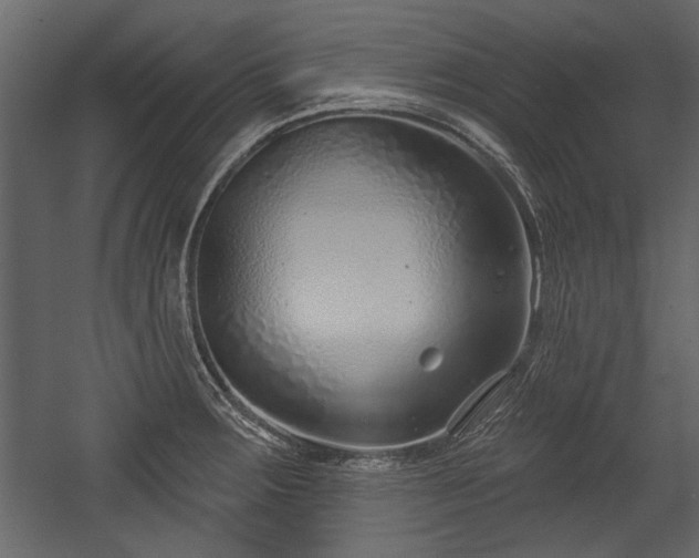 X0000054421283200508011348