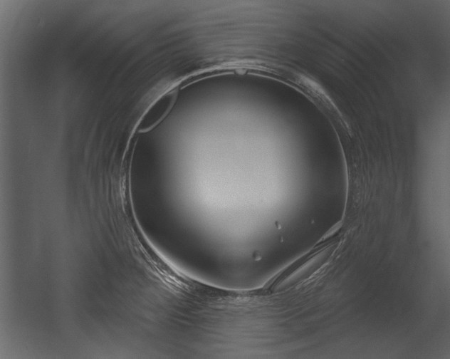 X0000054421284200508011348