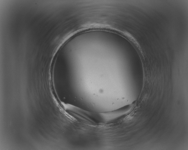 X0000054421287200508011348