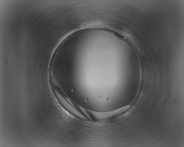 X0000054421288200508011348