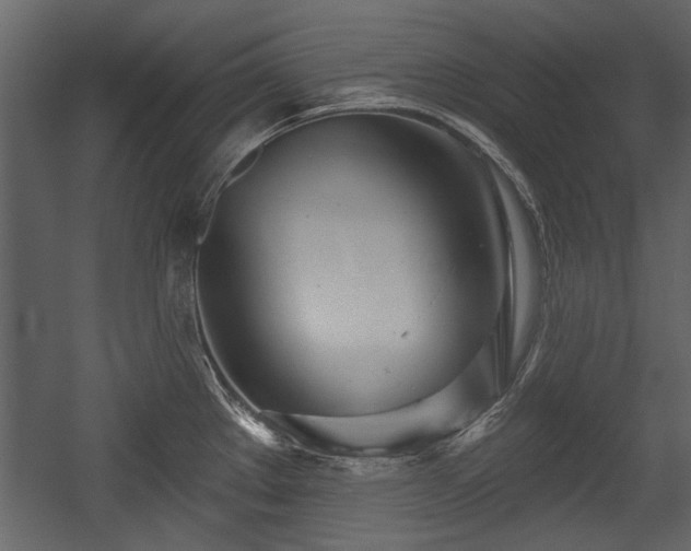 X0000054421289200508011348