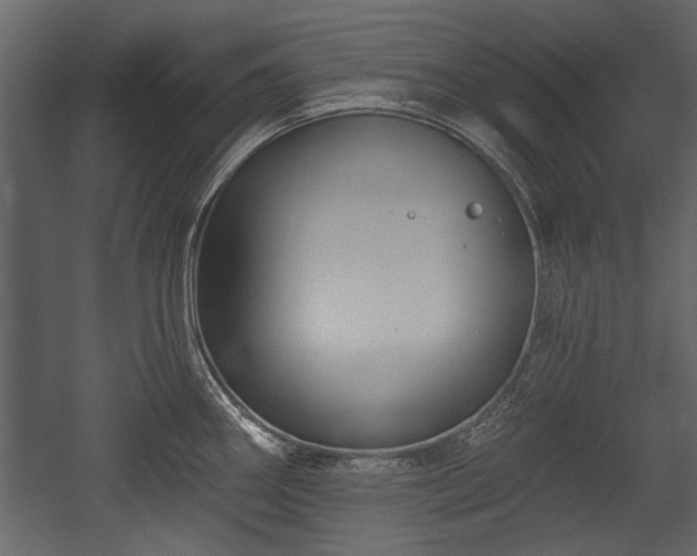 X0000054421290200508011348