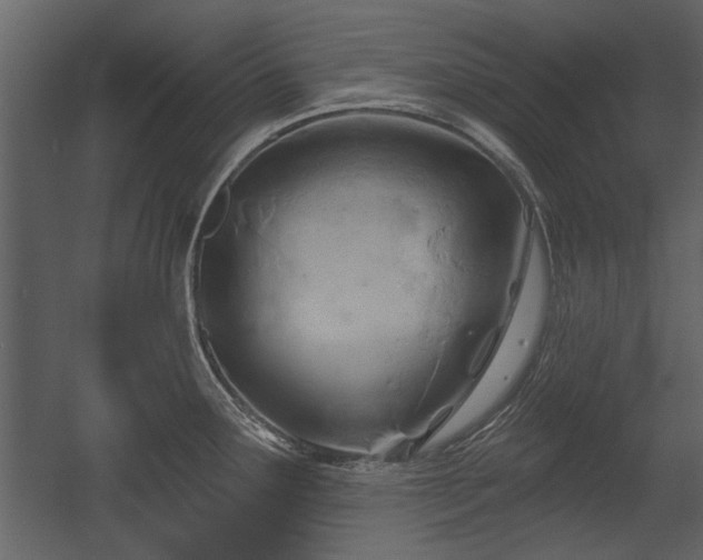 X0000054421291200508011348