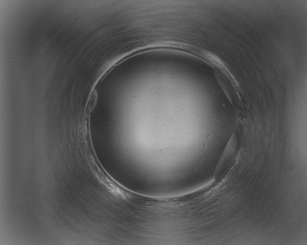 X0000054421292200508011348