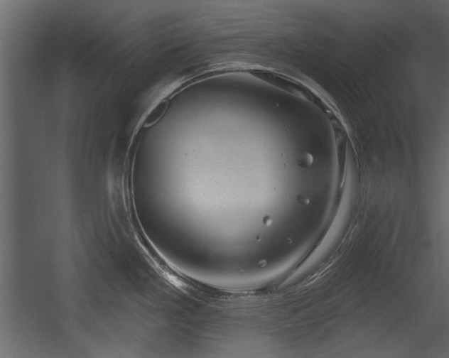 X0000054421293200508011348