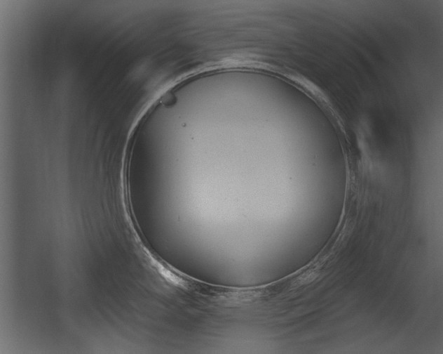 X0000054421294200508011348