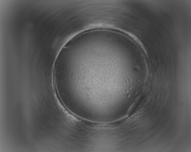 X0000054421295200508011348