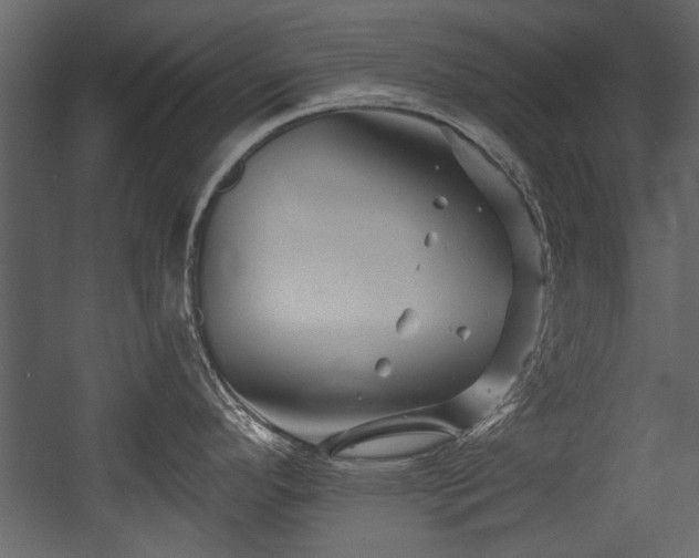 X0000054421296200508011347