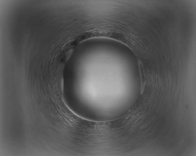 X0000054421297200508011347