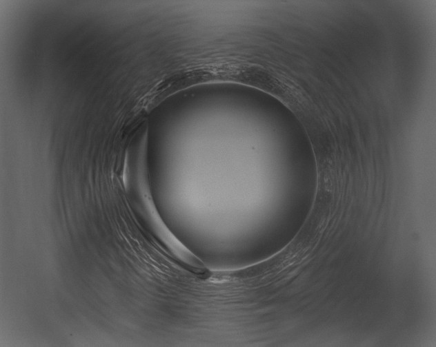 X0000054421298200508011347