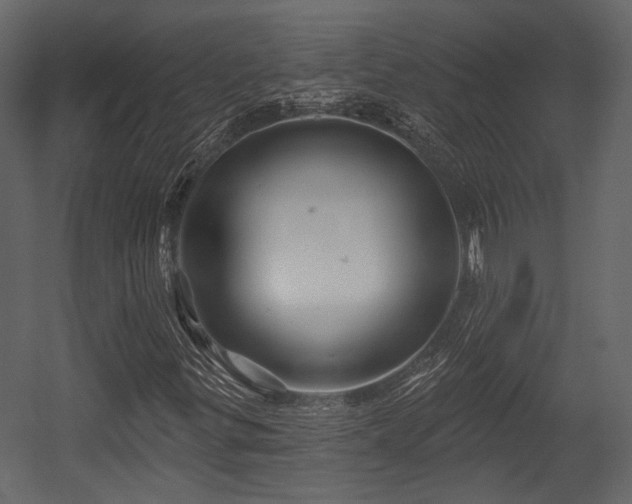 X0000054421299200508011347