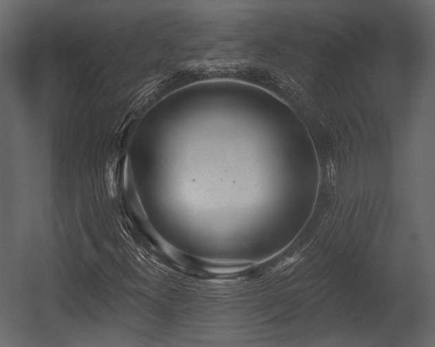 X0000054421300200508011347