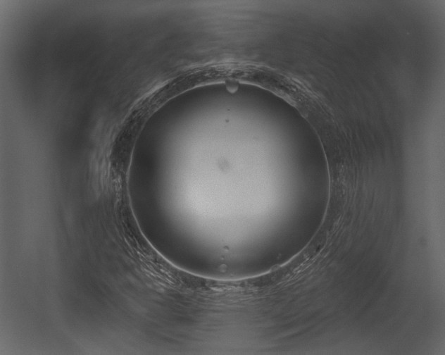 X0000054421302200508011347