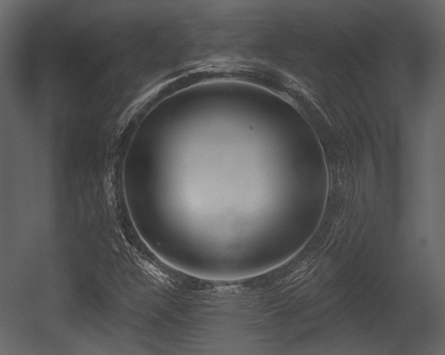 X0000054421304200508011347