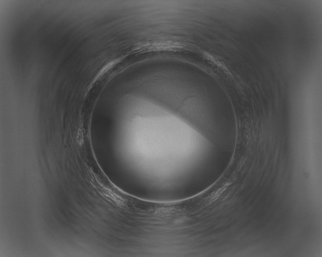 X0000054421306200508011347