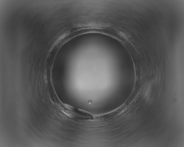 X0000054421307200508011347