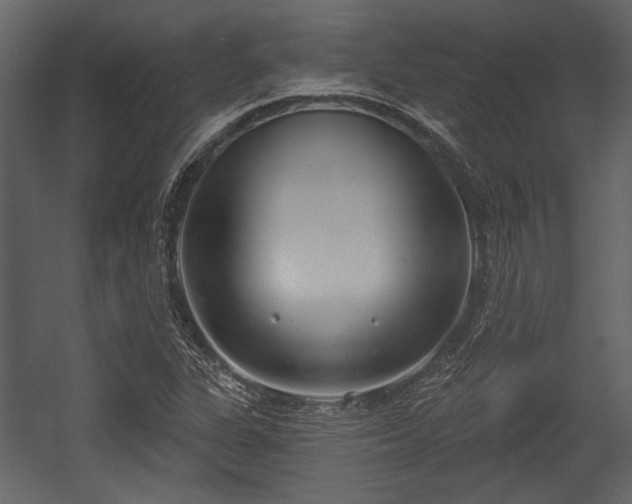 X0000054421311200508011347