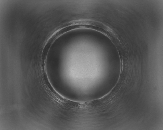 X0000054421312200508011347