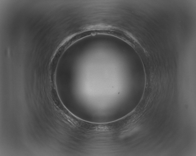 X0000054421315200508011347