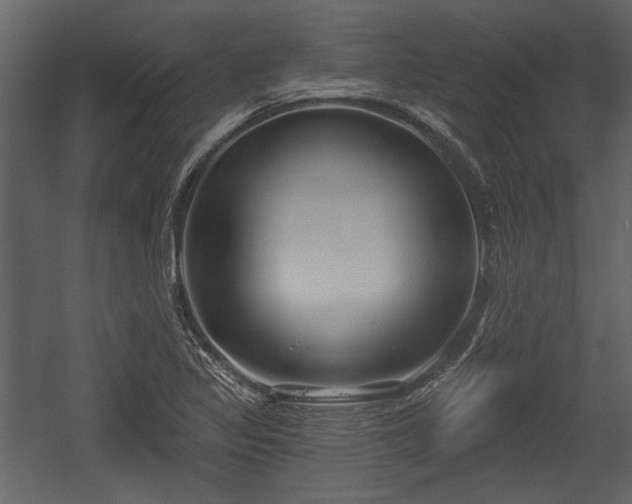 X0000054421317200508011347