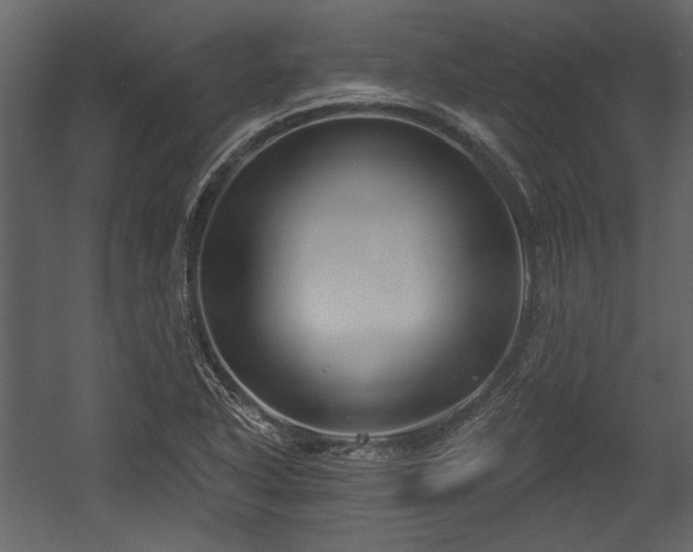 X0000054421318200508011347