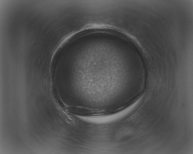 X0000054421319200508011347