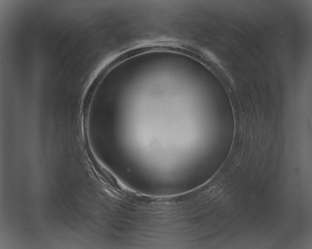 X0000054421320200508011347