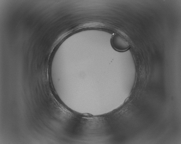 X0000054421322200508011347