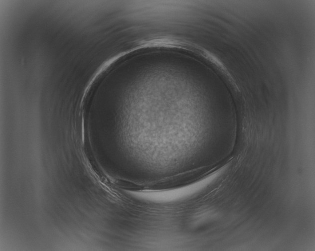 X0000054421323200508011347