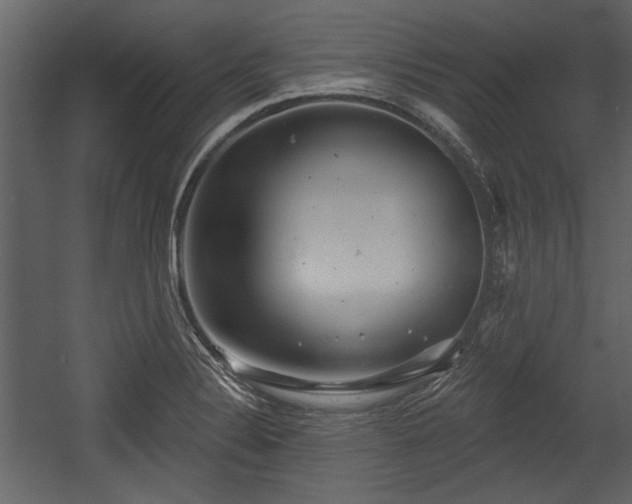 X0000054421324200508011347