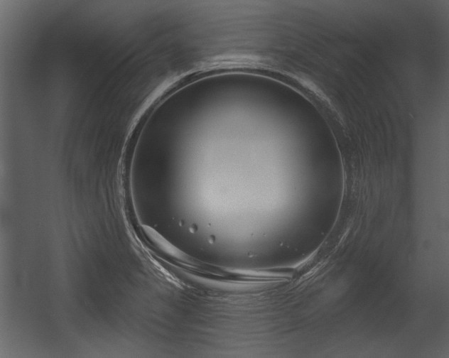 X0000054421325200508011347