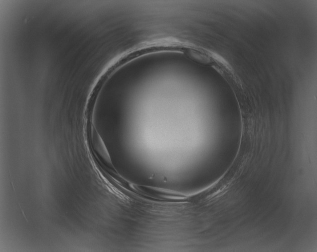 X0000054421326200508011347