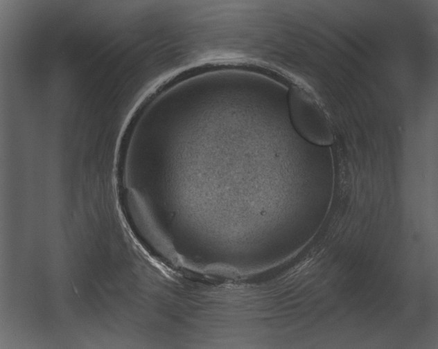 X0000054421327200508011347