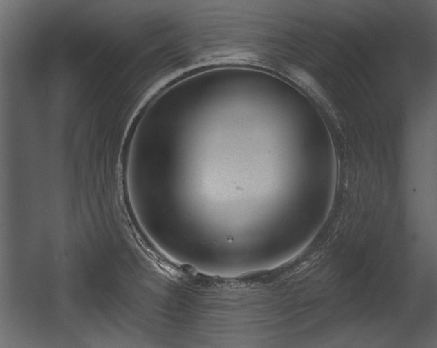 X0000054421332200508011347