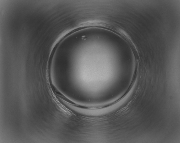 X0000054421336200508011347