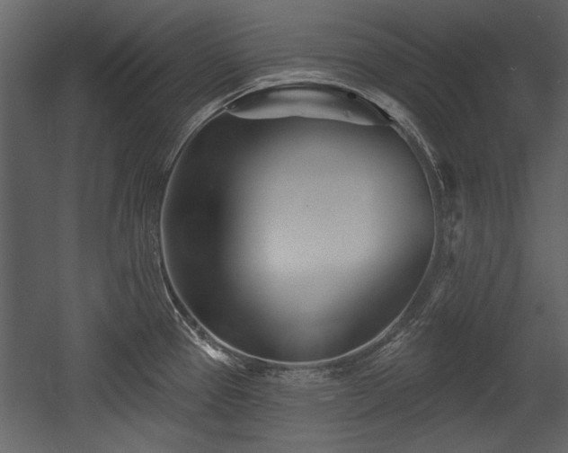 X0000054421337200508011347