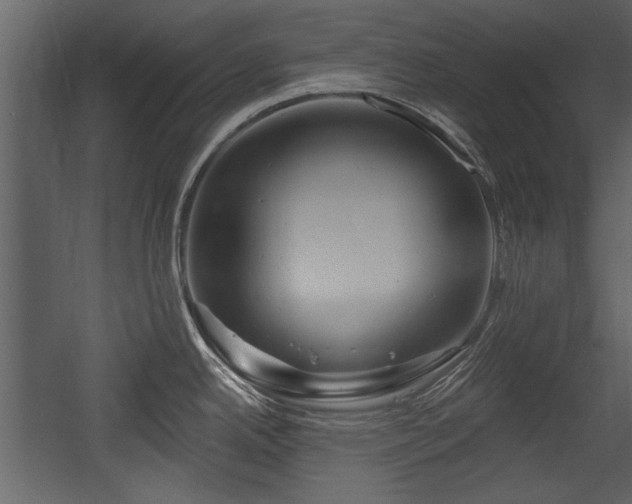 X0000054421342200508011347