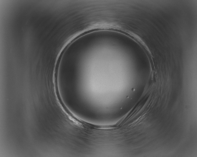 X0000054421343200508011347