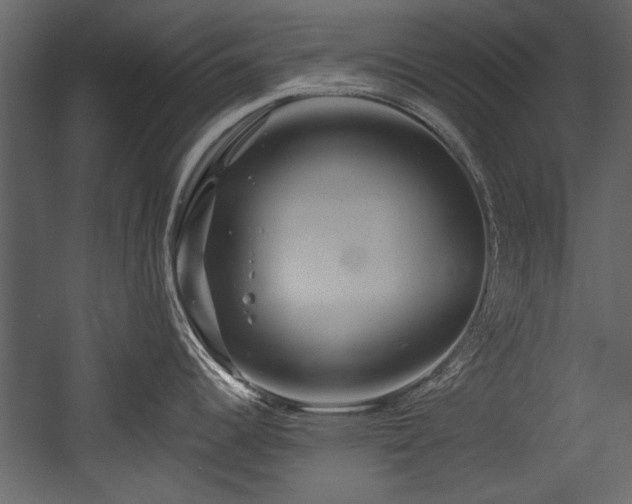 X0000054421344200508011347