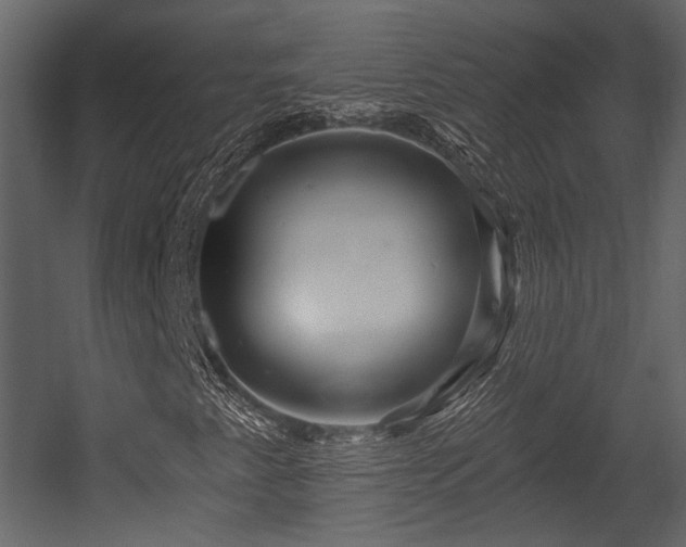 X0000054421345200508011347