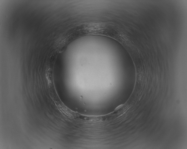 X0000054421346200508011347