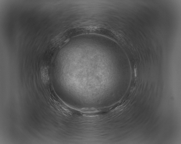 X0000054421347200508011347