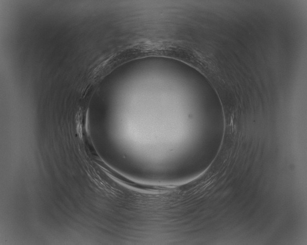 X0000054421348200508011347