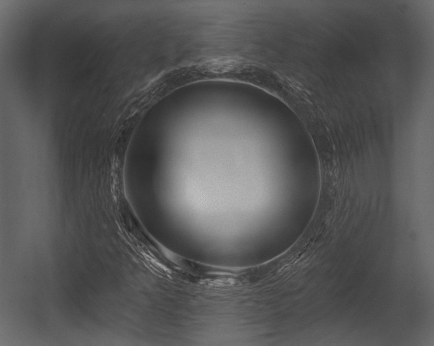 X0000054421349200508011347